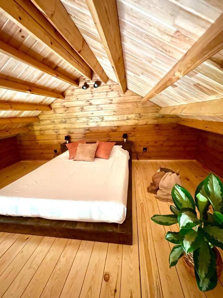 Mountain Eco Shelter 3 Otel Corujeira de Dentro Dış mekan fotoğraf